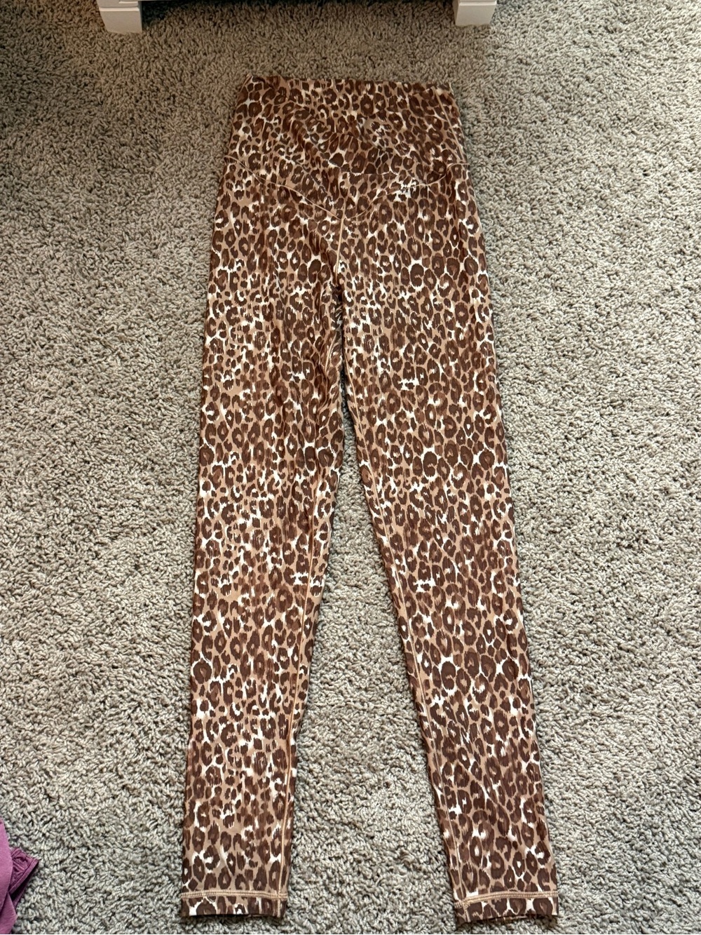Aerie Leopard Print Leggings